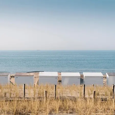 Belcasa Mar & Lofts アパートホテル